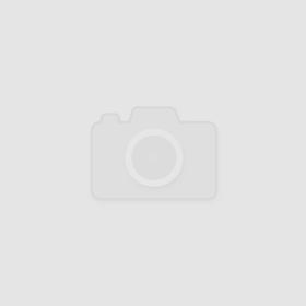 Струйный принтер Epson Stylus Photo T50